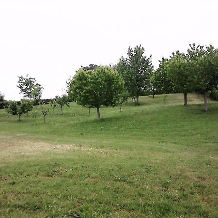 Casa In Campagna _Lori Volta Mantovana Kültér fotó