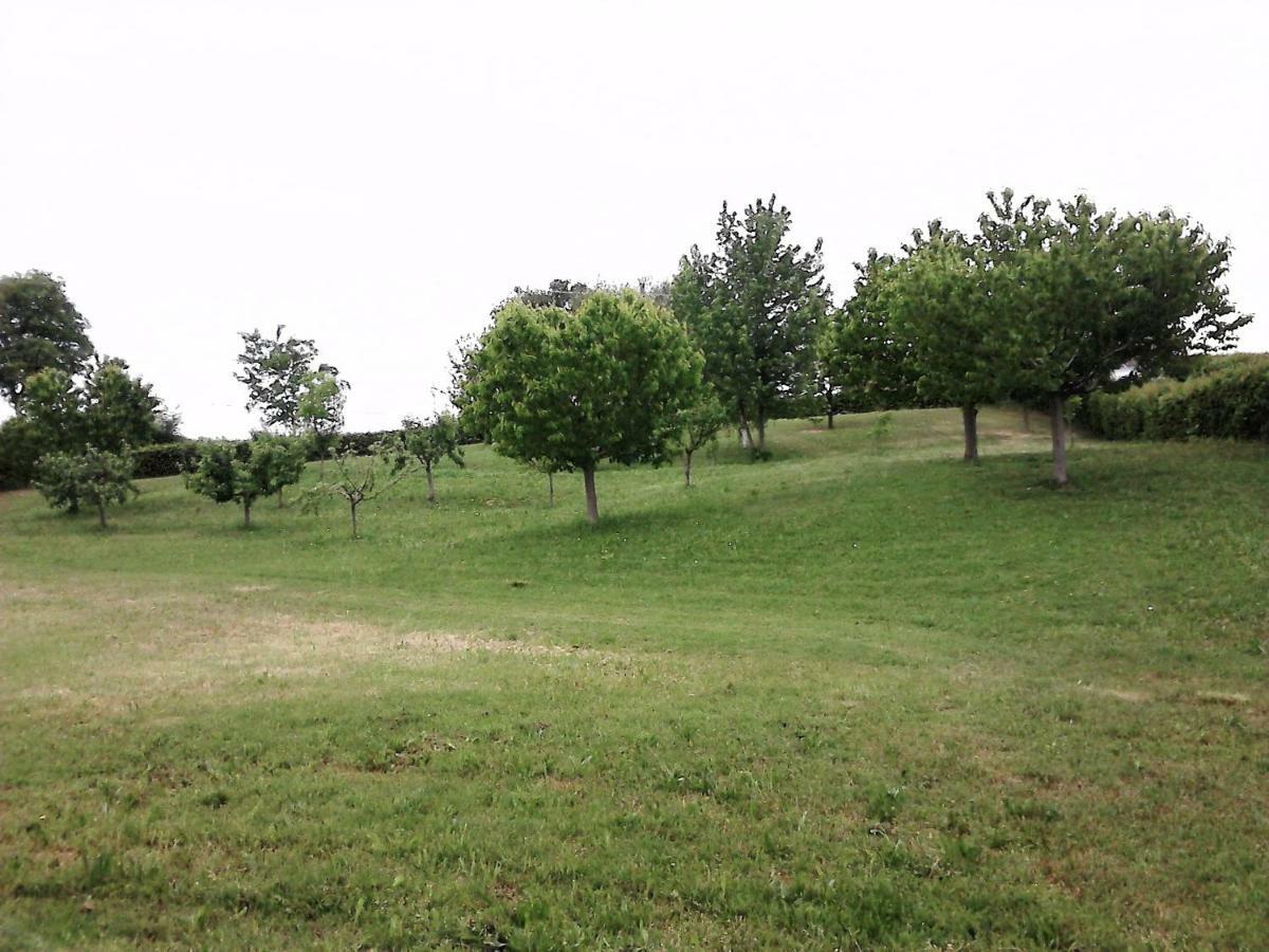Casa In Campagna _Lori Volta Mantovana Kültér fotó