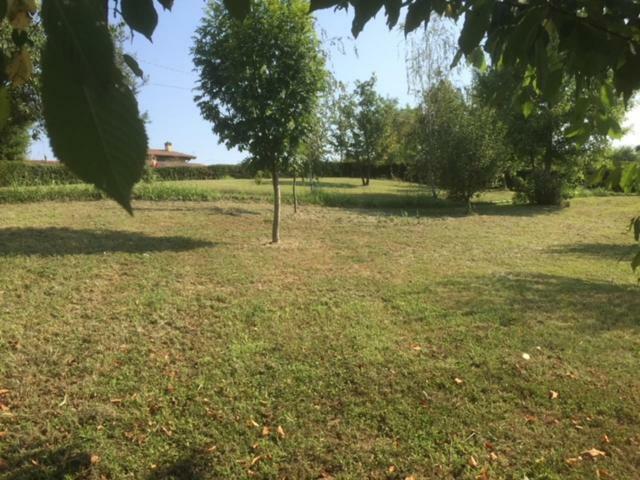 Casa In Campagna _Lori Volta Mantovana Kültér fotó