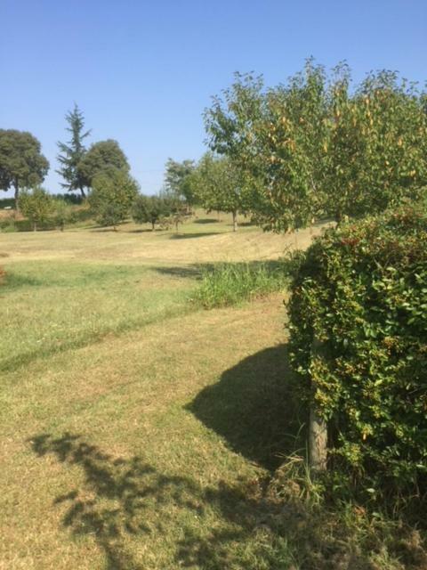 Casa In Campagna _Lori Volta Mantovana Kültér fotó