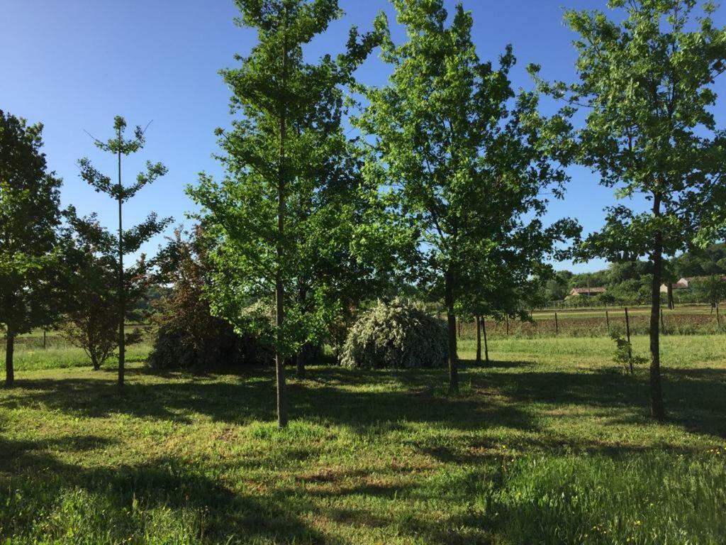 Casa In Campagna _Lori Volta Mantovana Kültér fotó